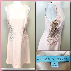 ANTONIO MELANI Blush Pink Sleeveless Embroidered Lace  Sheath Dress - 8